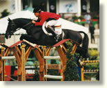 Cortaflex and other products for Horses